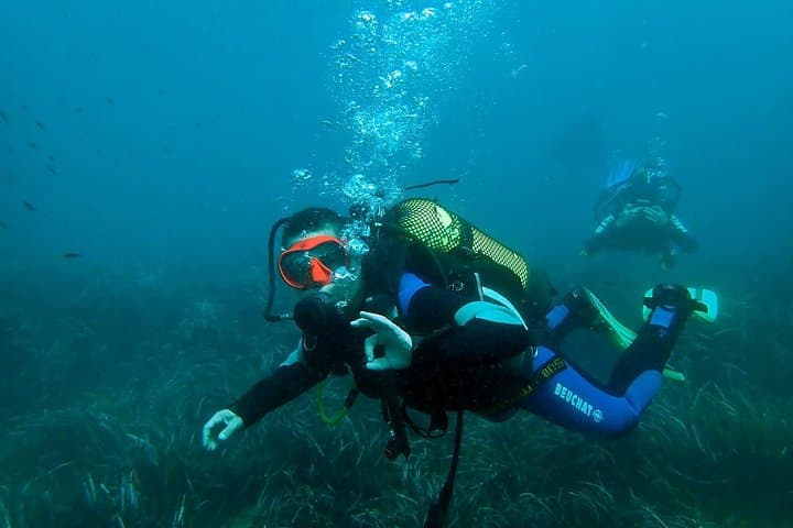 Introductory Boat Dive from Santa Pola to Isla de Tabarca — Baptism of Scuba photo 1
