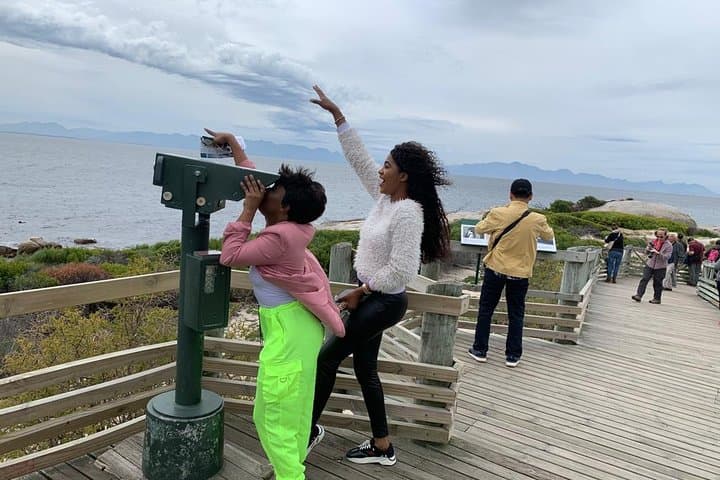 Cape Point, Penguins & Table Mountain: Private Full-Day Tour from Cape Town photo 3