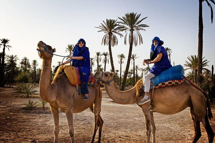 Marrakech Oasis Escape — Camel Ride and Quad Biking in the Palmeraie photo 2