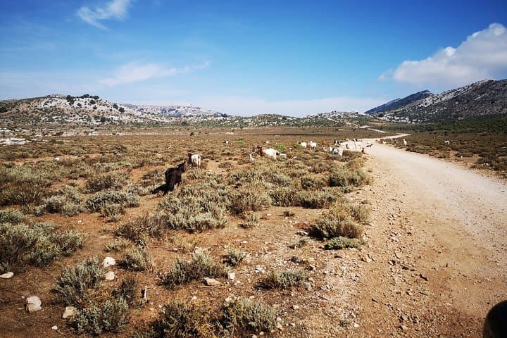 Off-Road Supramonte Tour and Pischina Gurthàddala Visit — Gorropu Panoramic Drive photo 3