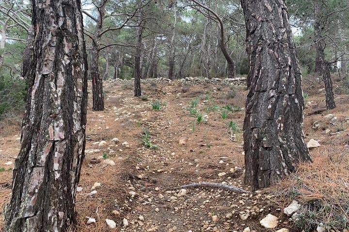 Agia Kyriaki Walk: Scenic 7km Hike Above Pigadia, Karpathos photo 6