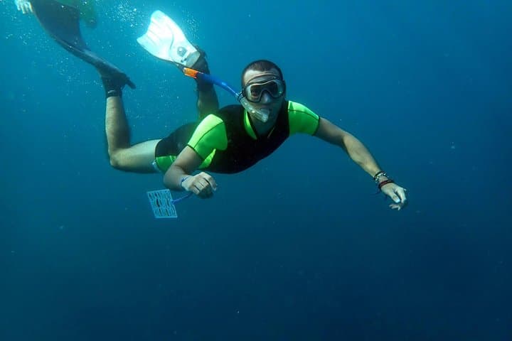 Snorkeling in Isla de Tabarca: Marine Reserve Day Trip from Santa Pola photo 3