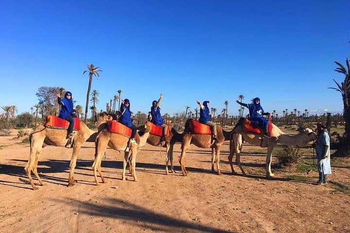 Marrakech Oasis Escape — Camel Ride and Quad Biking in the Palmeraie photo 4