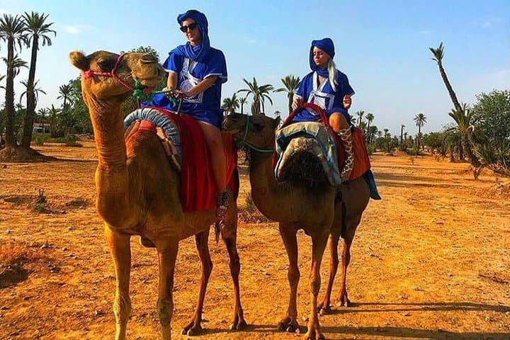 Marrakech Oasis Escape — Camel Ride and Quad Biking in the Palmeraie photo 6