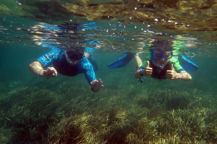 Snorkeling in Isla de Tabarca: Marine Reserve Day Trip from Santa Pola