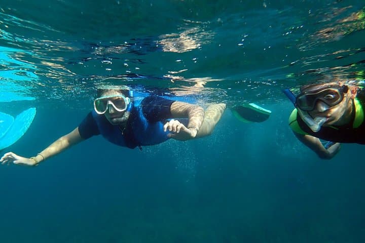 Snorkeling in Isla de Tabarca: Marine Reserve Day Trip from Santa Pola photo 5