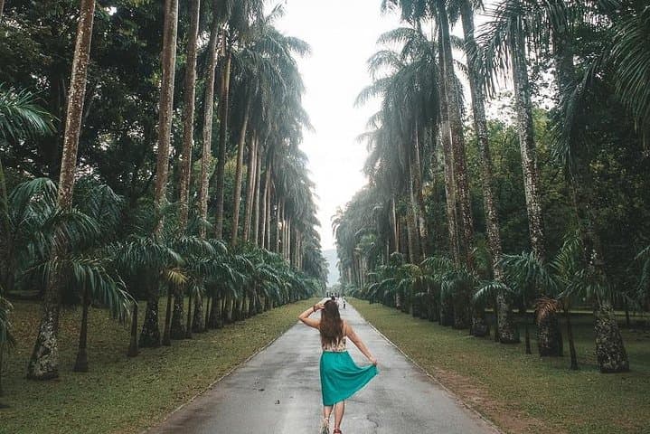 Discover Sri Lanka: 8-Day Cultural & Nature Circuit from Colombo