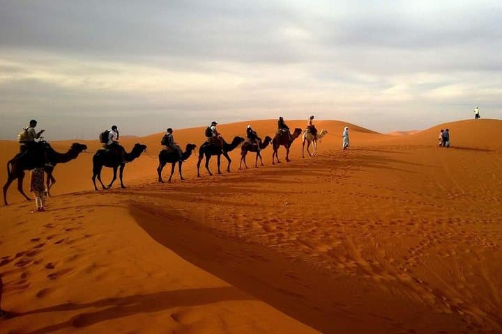 Morning Dubai Desert Safari with Long Camel Ride and Dune Bashing photo 2
