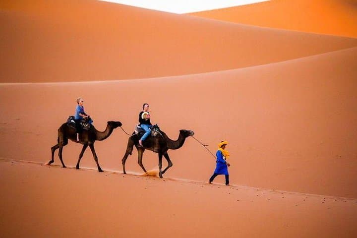 Marrakech to Merzouga: 2-Day Sahara Desert Camp & Camel Trek photo 3