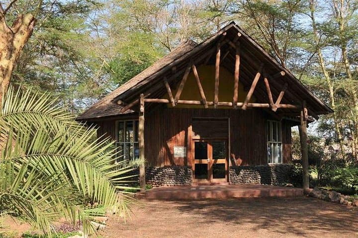4-Day Amboseli & Tsavo Safari: Kilimanjaro Views, Mzima Springs and Big Five Game Drives photo 1