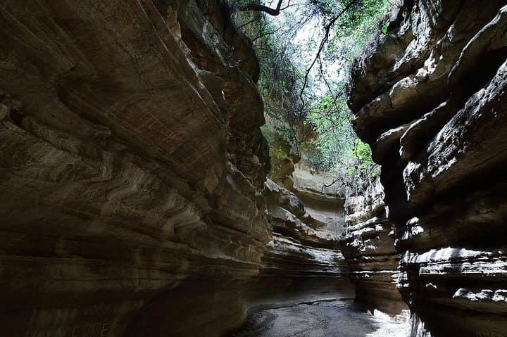 4-Day Budget Safari in Maasai Mara, Lake Naivasha & Hell's Gate