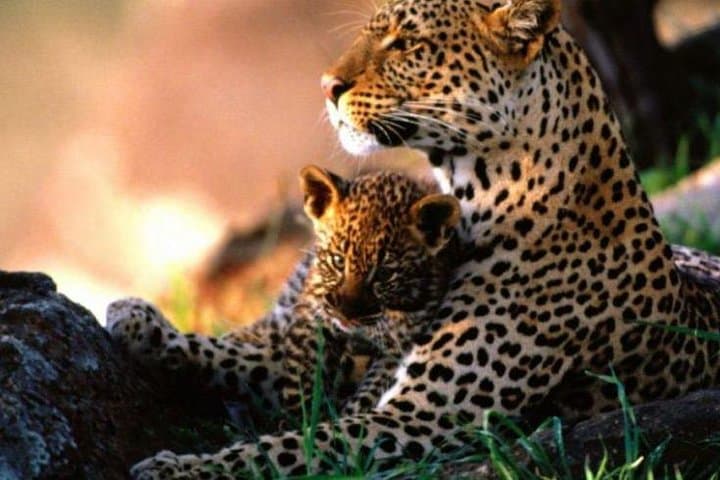 4-Day Budget Safari in Maasai Mara, Lake Naivasha & Hell's Gate photo 4