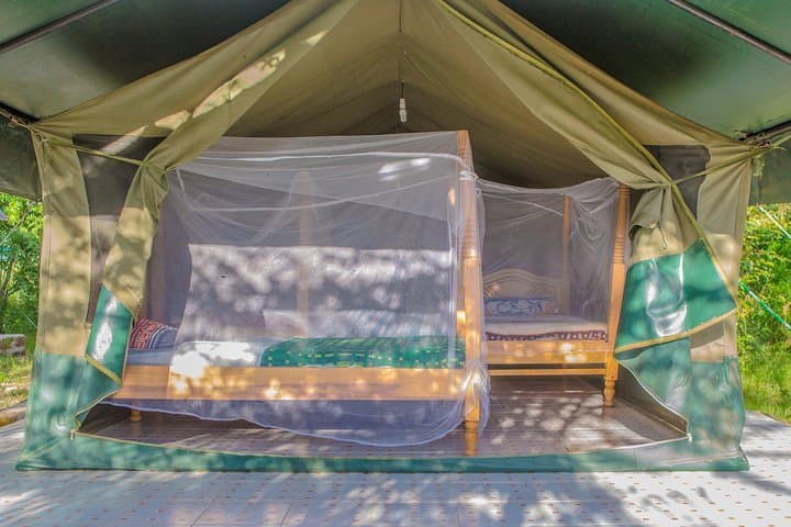 6-Day Best of Maasai Mara, Lake Nakuru & Amboseli Budget Safari