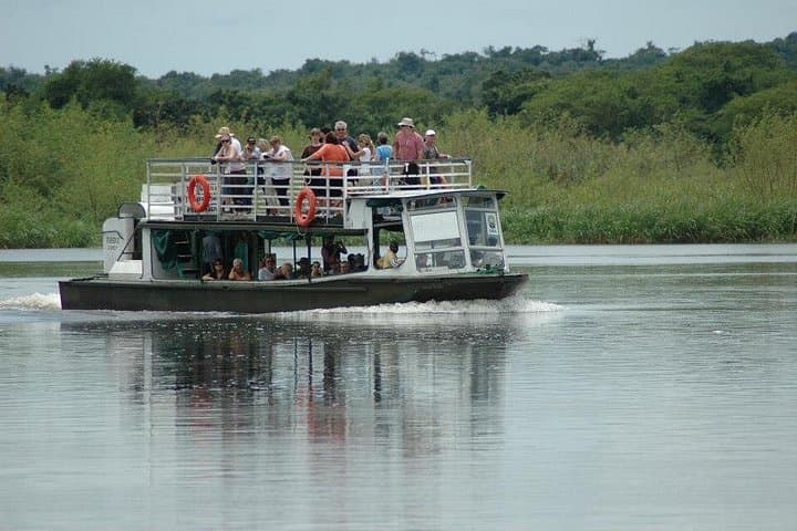 uganda-10-day-gorilla-and-wildlife-safari-murchison-kibale-queen-elizabeth-bwindi photo 3