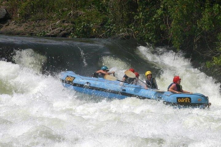 7-Day Uganda: Whitewater Rafting, Mountain Gorilla Trek & Queen Elizabeth Safari