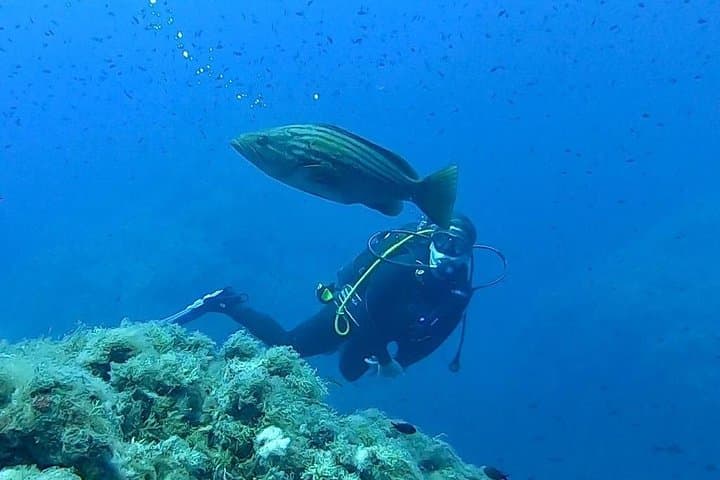 Shallow Scuba off Catania: Explore 13th-Century Lava Flows and Submarine Volcanoes photo 3