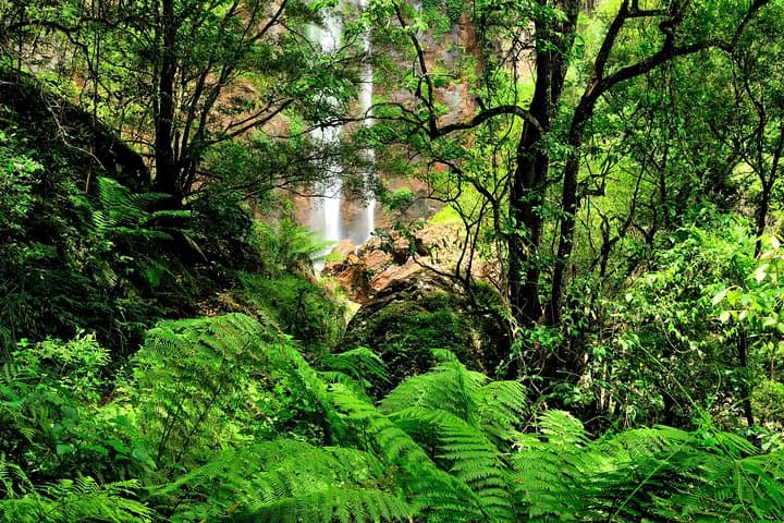 Juan Curí Waterfalls Private Tour from Bucaramanga — Swim, Rappel & Adventure photo 2