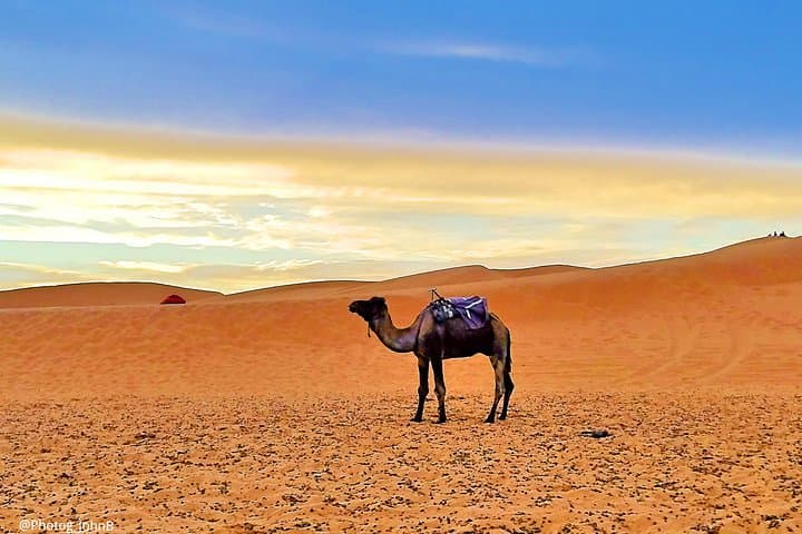 3-Day Marrakech to Merzouga Desert Tour — Camel Trek & Erg Chebbi Camp photo 5