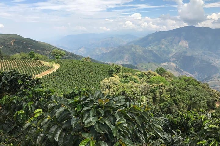 11-Day DIY Colombia Tour: Bogotá, Coffee Region, Medellín & Caribbean Coast photo 2