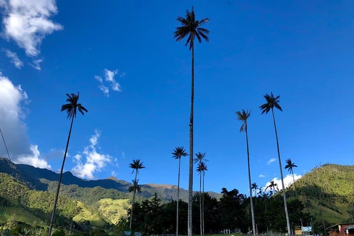 11-Day DIY Colombia Tour: Bogotá, Coffee Region, Medellín & Caribbean Coast photo 3