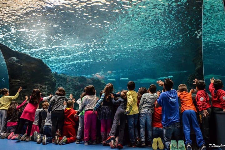 Heraklion City Tour: Cretaquarium, Old Bazaar & Historic Sights photo 4
