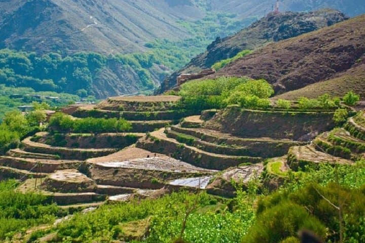 Live like a Local in the Atlas Mountains: Berber Village Day Trip from Marrakech photo 2