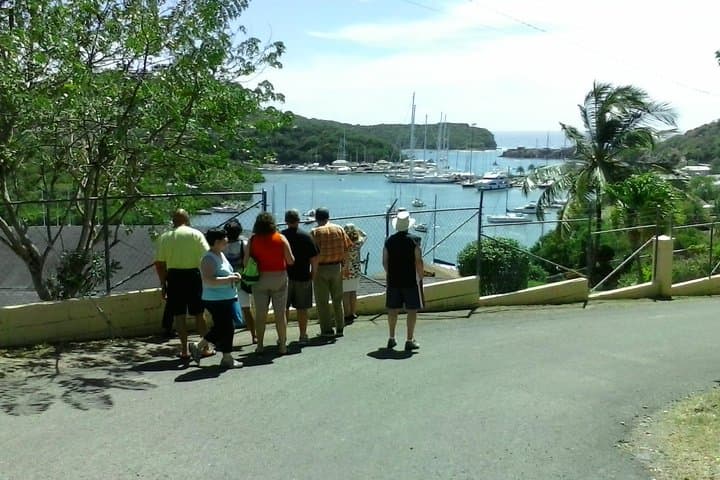 Antigua Walking Tour: St. John's Historic Sights, Markets & Local Lunch photo 1