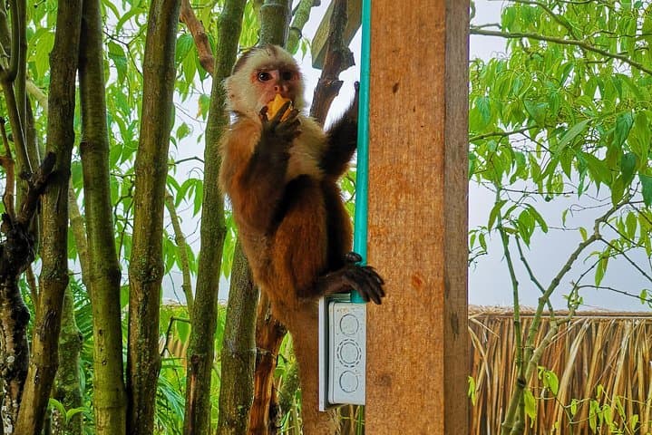 Climbing Chicamocha Canyon: Colombia’s Ultimate La Mojarra Adventure photo 2