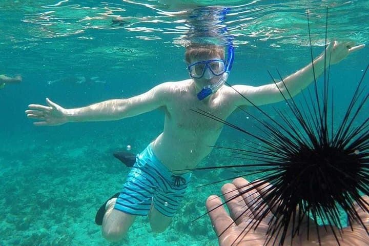Rick's Cafe Sunset Cruise and Snorkelling in Negril — Snorkel Reefs, Sail to Rick's & Watch Cliff Jumps