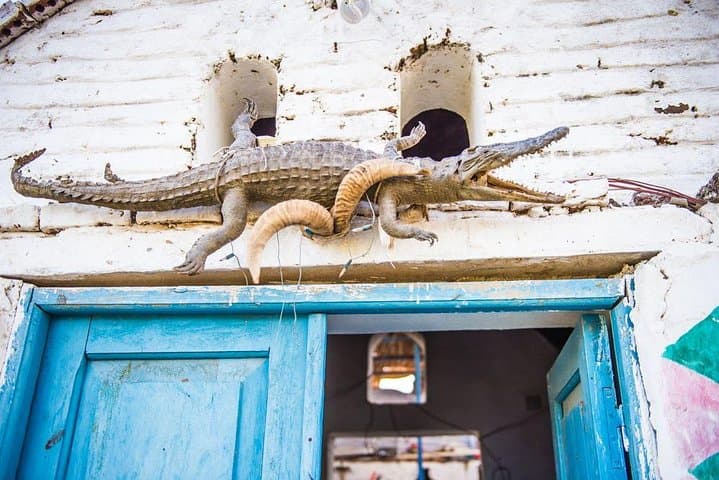Sail to a Nubian Village from Aswan: Felucca Cultural Day Trip photo 2
