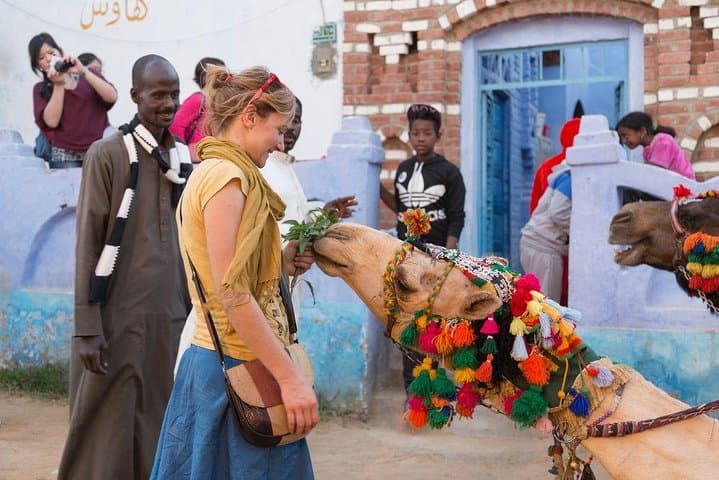 Sail to a Nubian Village from Aswan: Felucca Cultural Day Trip