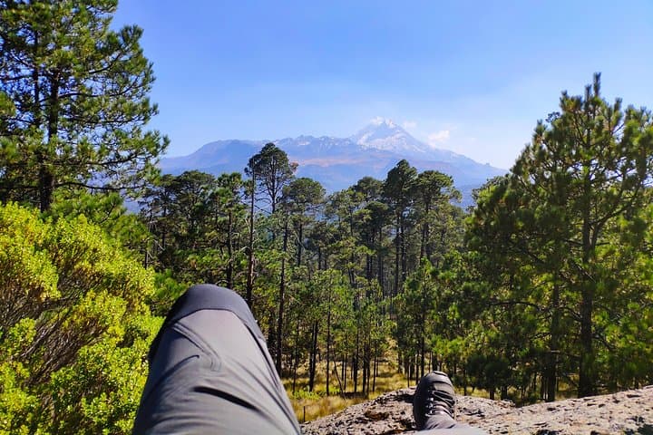 Iztaccihuatl Volcano Trek: Half-Day Ascent from Mexico City into Pine Forests photo 3