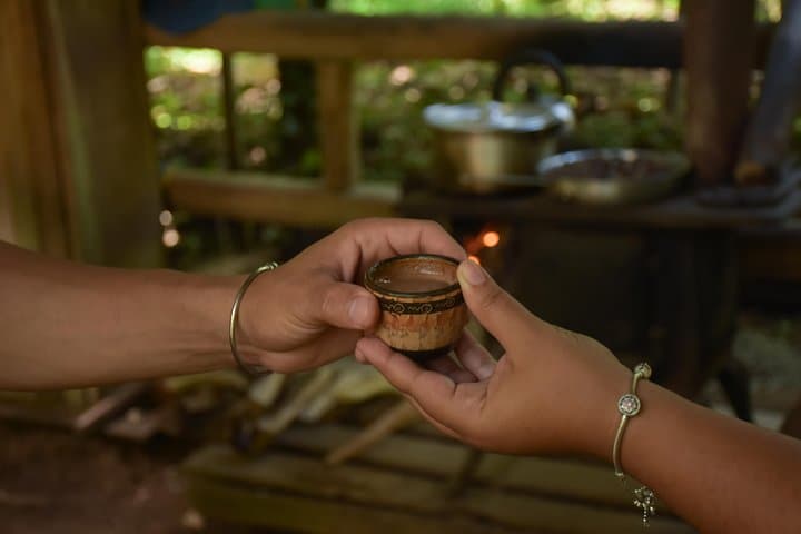 Chocolate & La Fortuna Waterfall Adventure — Arenal Rainforest Day Trip photo 3
