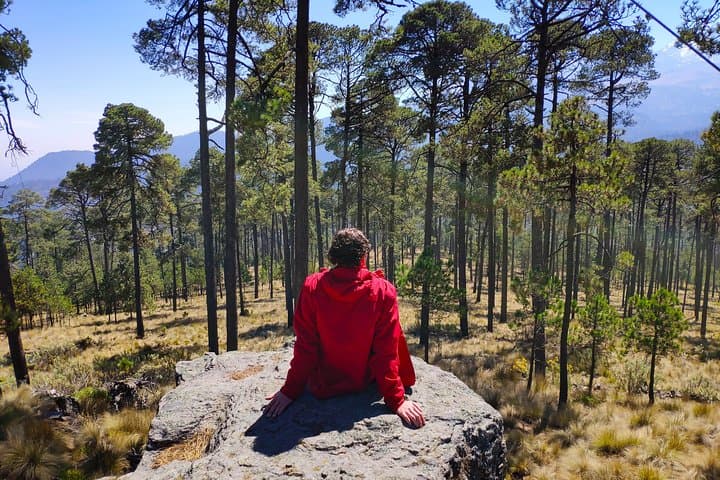 Iztaccihuatl Volcano Trek: Half-Day Ascent from Mexico City into Pine Forests photo 5