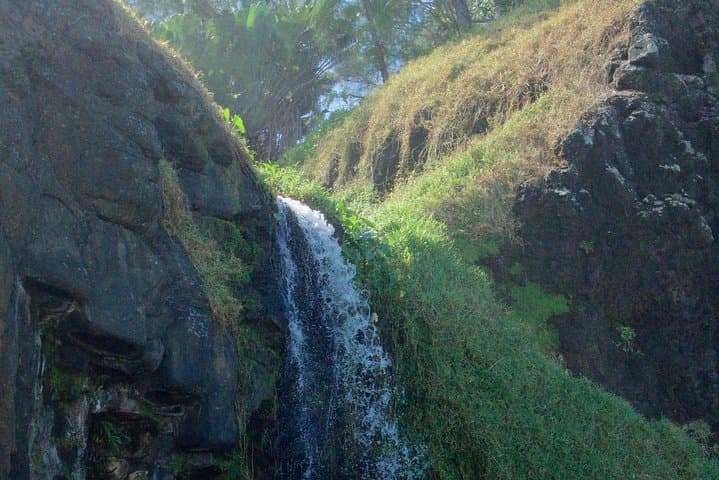 Wild South Hike — Le Sud Sauvage Mauritius: Waterfalls, Pools & Coastal Cliffs photo 2