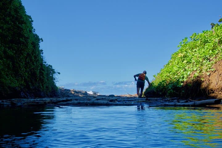 Wild South Hike — Le Sud Sauvage Mauritius: Waterfalls, Pools & Coastal Cliffs photo 4