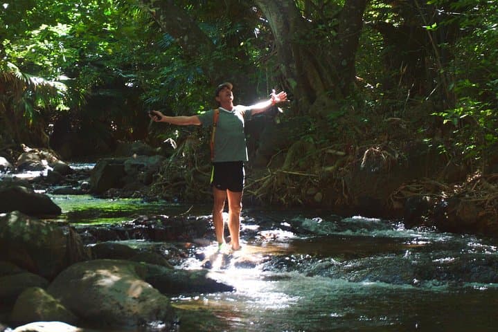 Wild South Hike — Le Sud Sauvage Mauritius: Waterfalls, Pools & Coastal Cliffs photo 5