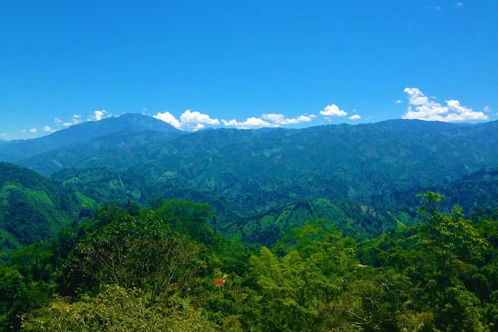 Hike to Finca Campesina Santandereana — Bucaramanga Rural Farm Trek with Homestyle Lunch