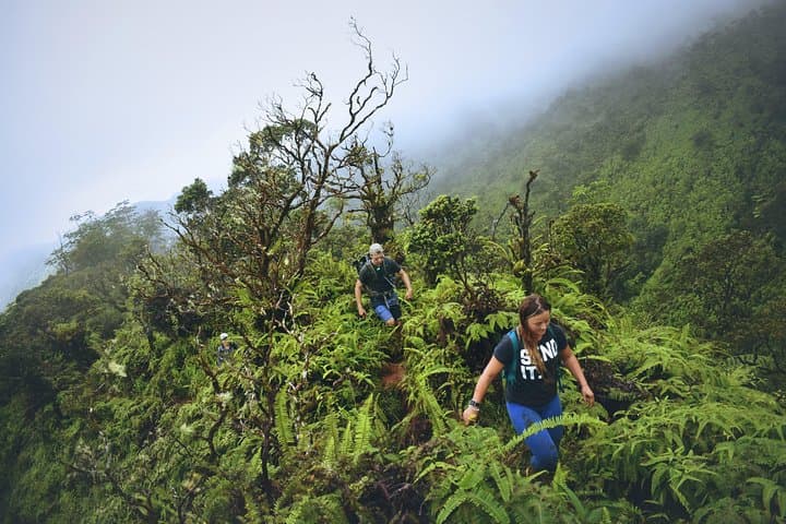 Quetzaltenango Experience: Chicabal Lagoon, Hot Springs & Xela Highlights photo 5