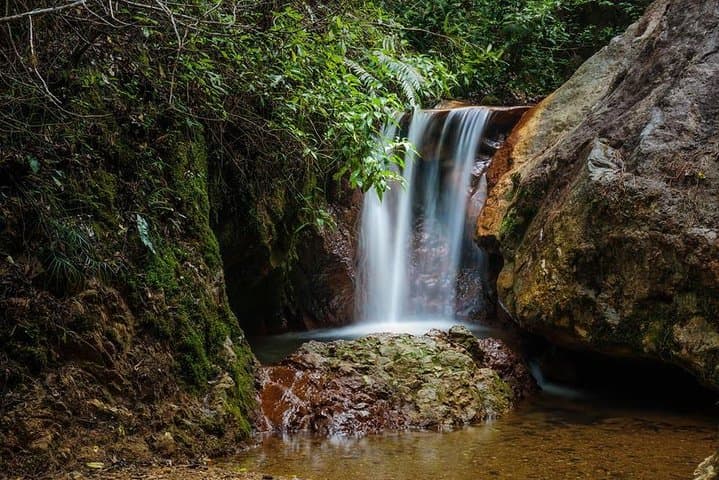 Cloud-Forest Hike in La Tigra National Park — Tegucigalpa Day Trip photo 2