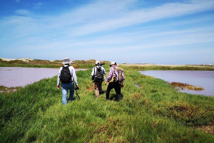 Pómac Forest Birding Walk: Historic Sanctuary Nature Tour from Chiclayo