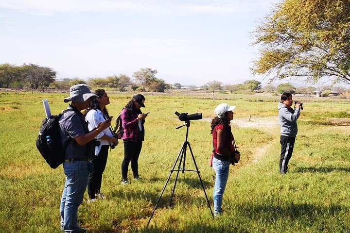 Pómac Forest Birding Walk: Historic Sanctuary Nature Tour from Chiclayo photo 2