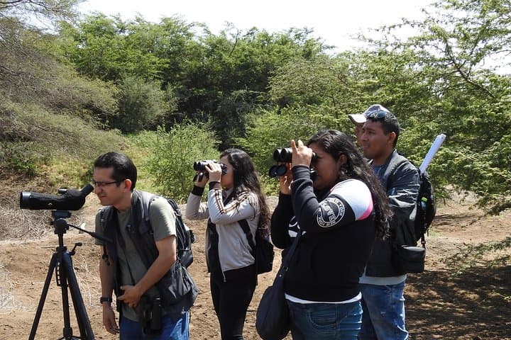 Pómac Forest Birding Walk: Historic Sanctuary Nature Tour from Chiclayo photo 4