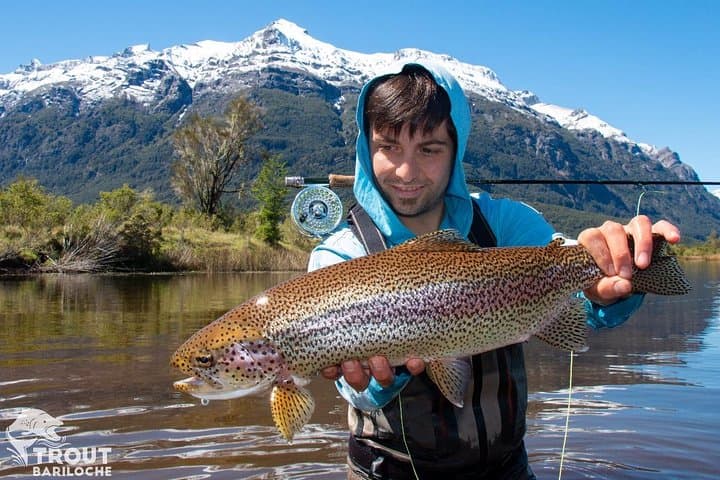 Fly Fishing in Bariloche: Limay & Manso River Trout