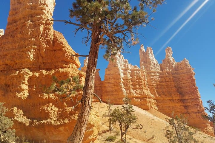 Explore Bryce Canyon and Zion National Parks on a Small Group Day Tour from Las Vegas photo 3