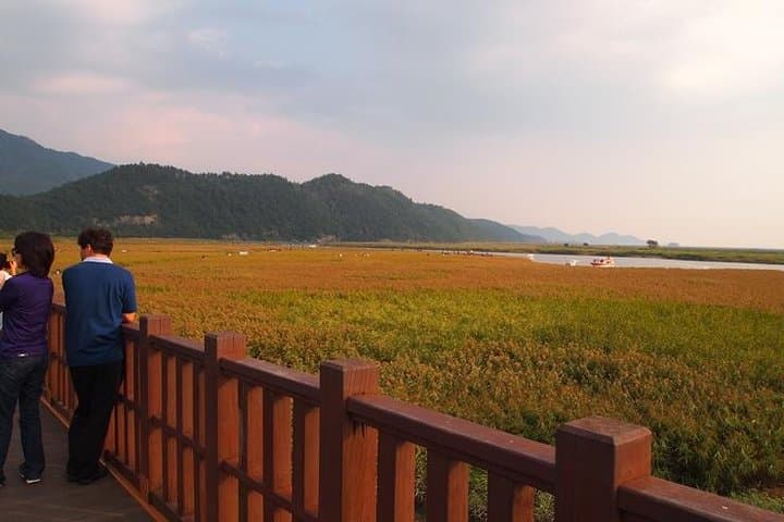 3-Day Western Korea Tour: Seoul to Busan via Gongju, Jeonju & Boseong photo 6
