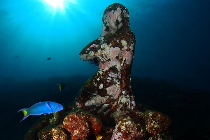 Scuba at USAT Liberty Wreck Tulamben: Beginner Dives with Pool Training photo 6