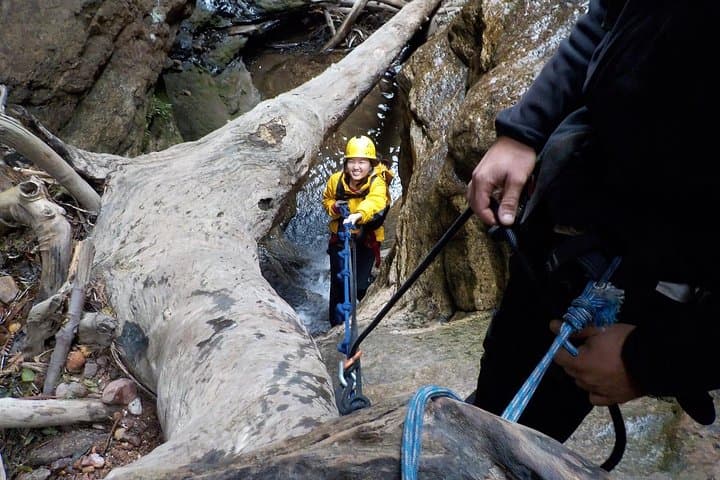 Juggler Canyon Abseiling Adventure — Blue Mountains Canyoning Day Trip photo 6