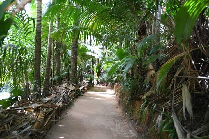 Palms and Pearls Full-Day Praslin Nature and Beach Tour