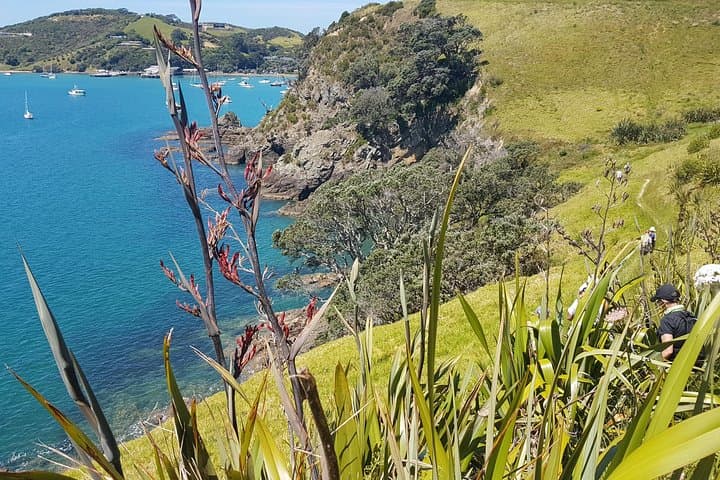 3-Day Waiheke Walking Holiday: Beaches, Vineyards & Coastal Tracks photo 2
